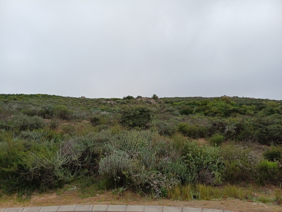 0 Bedroom Property for Sale in St Helena Views Western Cape